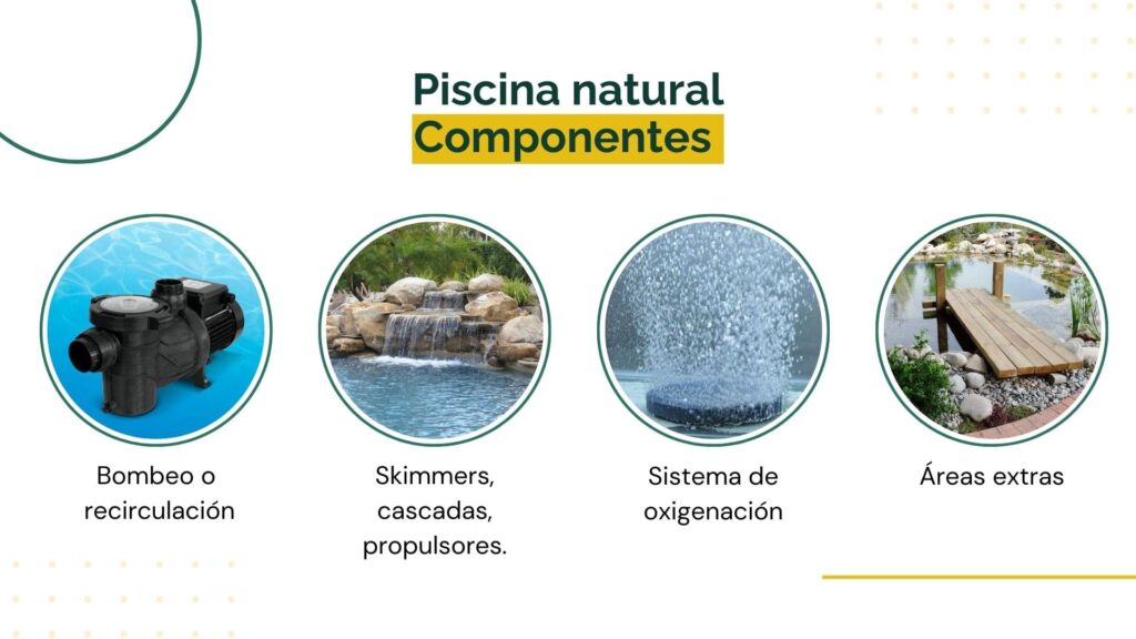 componentes técnicos de una biopiscina